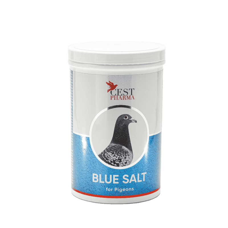 BLUE SALT 1000 g BLUE SALT 1000 g