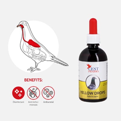Cest-pharma-YELLOW-DROPS-100-ml.jpg Cest pharma YELLOW DROPS 100 ml
