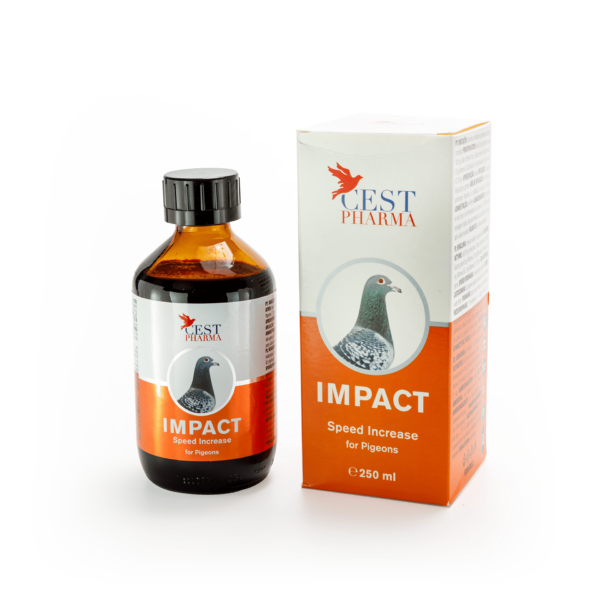 IMPACT 250 ml