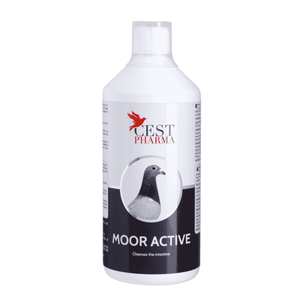 MOOR ACTIVE 1000 ml