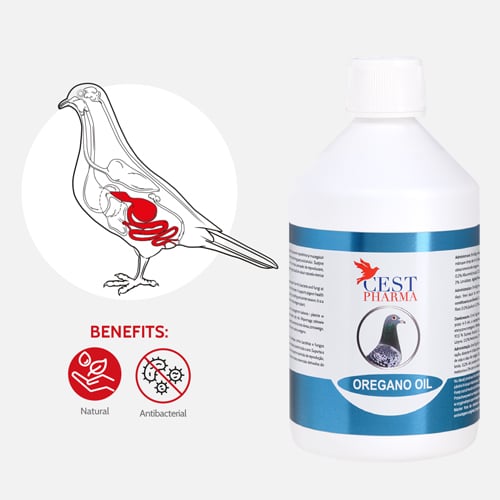 OREGANO-OIL-500-ml-1.jpg OREGANO OIL 500 ml 1
