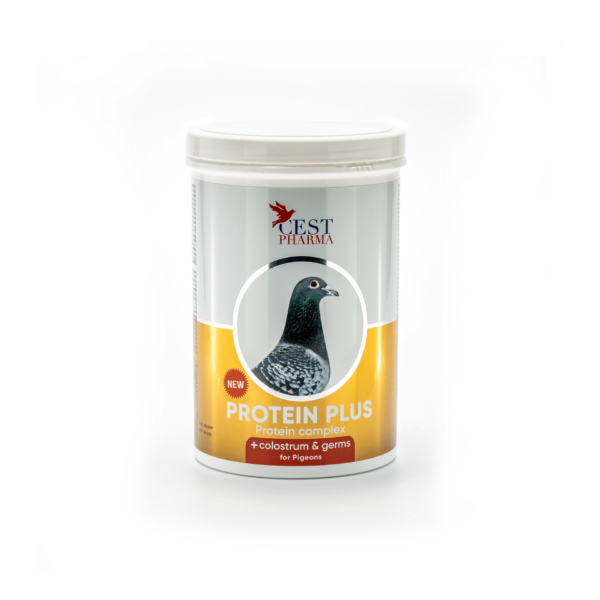 PROTEIN PLUS 600 g