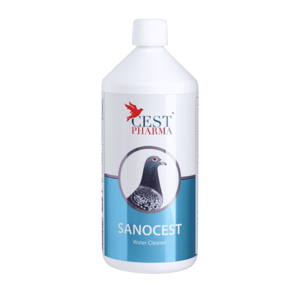 SANOCEST 1000 ml