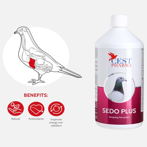 SEDO-PLUS-1000-ml-1.jpg SEDO PLUS 1000 ml 1