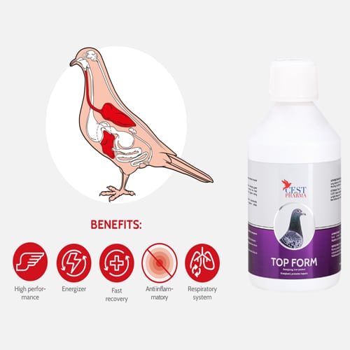 TOPVORM-500-ml-1.jpg TOPVORM 500 ml 1