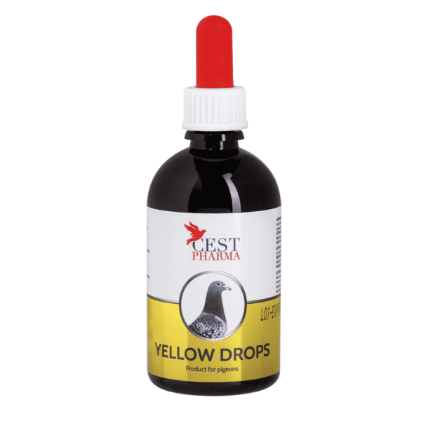 YELLOW DROPS 100 ml