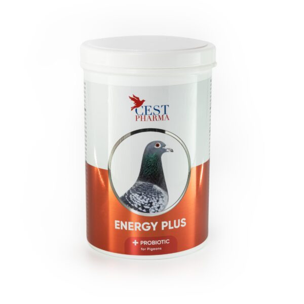 Energy plus