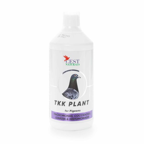 TKK-Plant-1000ml.